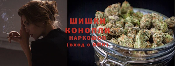 крисы Корсаков