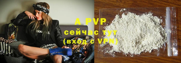 apvp Вяземский