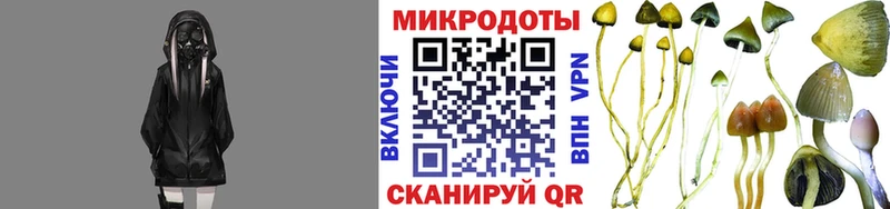 Галлюциногенные грибы GOLDEN TEACHER  цены   Зея 