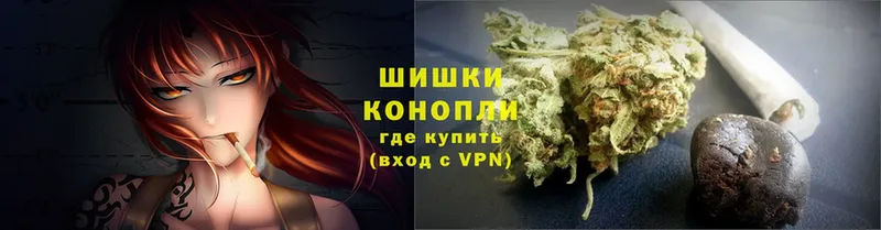 дарнет шоп  Зея  Бошки марихуана SATIVA & INDICA 